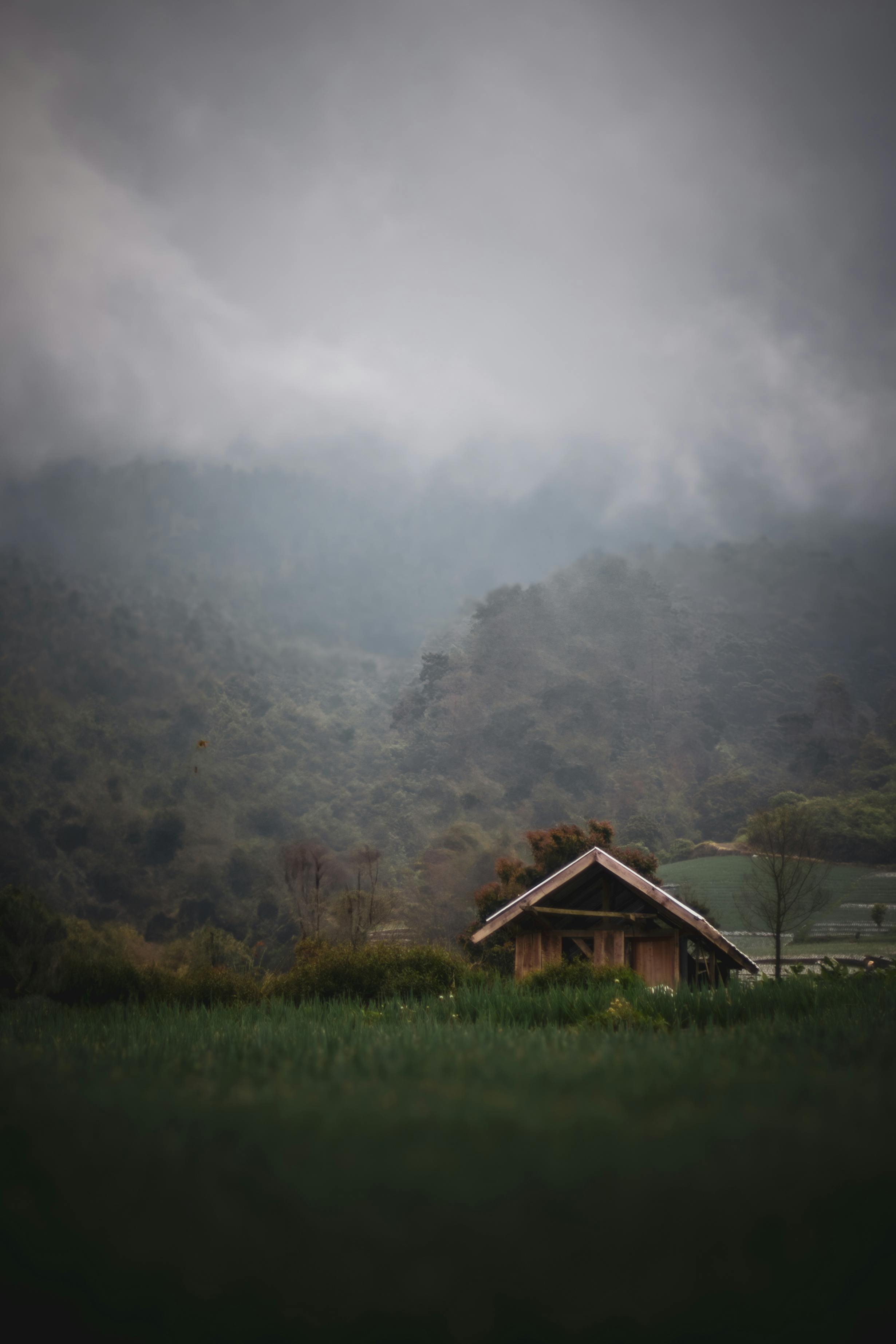 Kristen Kruek Photos, Download The BEST Free Kristen Kruek Stock Photos