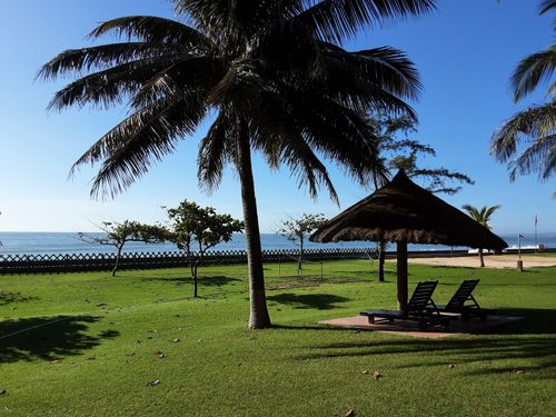 Free Scenic view of a beach resort in Phan Thiet, Vietnam, showcasing palm trees and sun loungers. Stock Photo