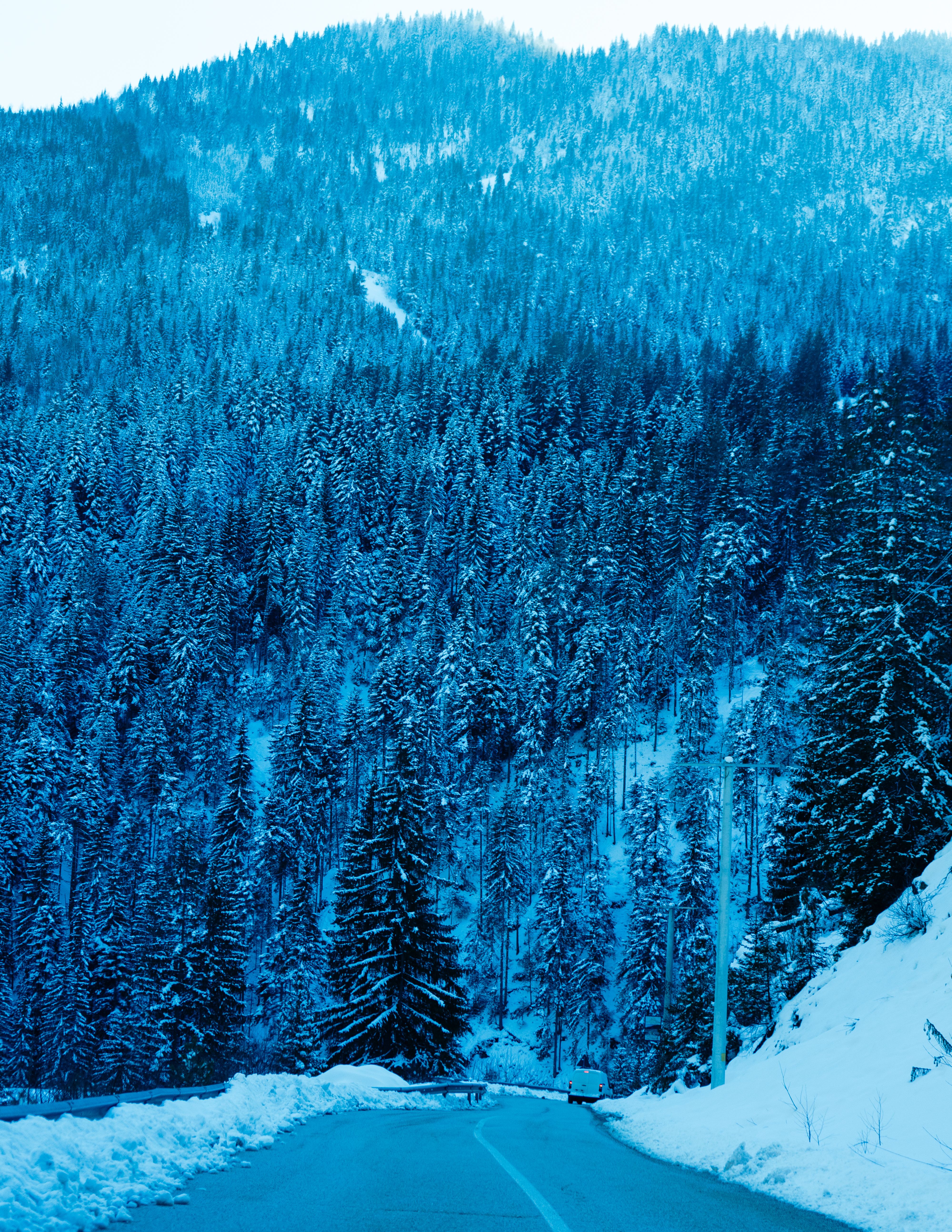 Scenic Winter Road through Snow-Covered Forest · Free Stock Photo