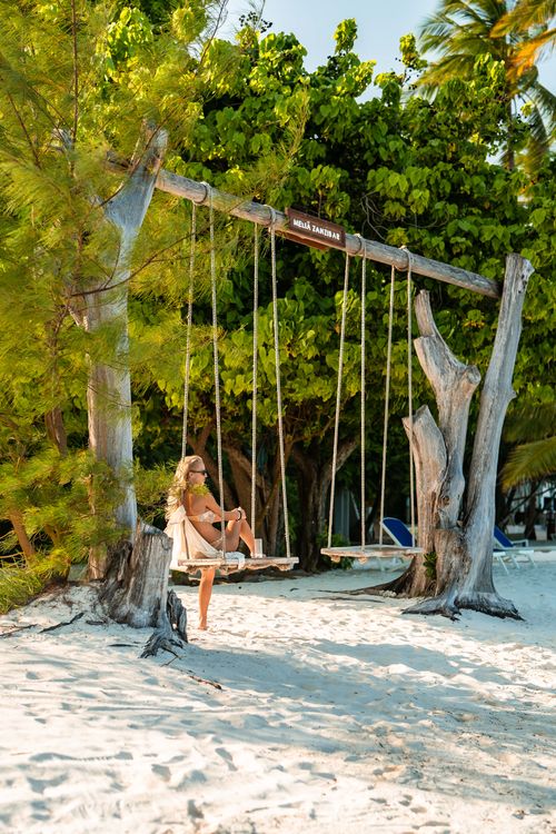 Free Woman enjoying swing on a sunny beach with lush greenery behind Stock Photo