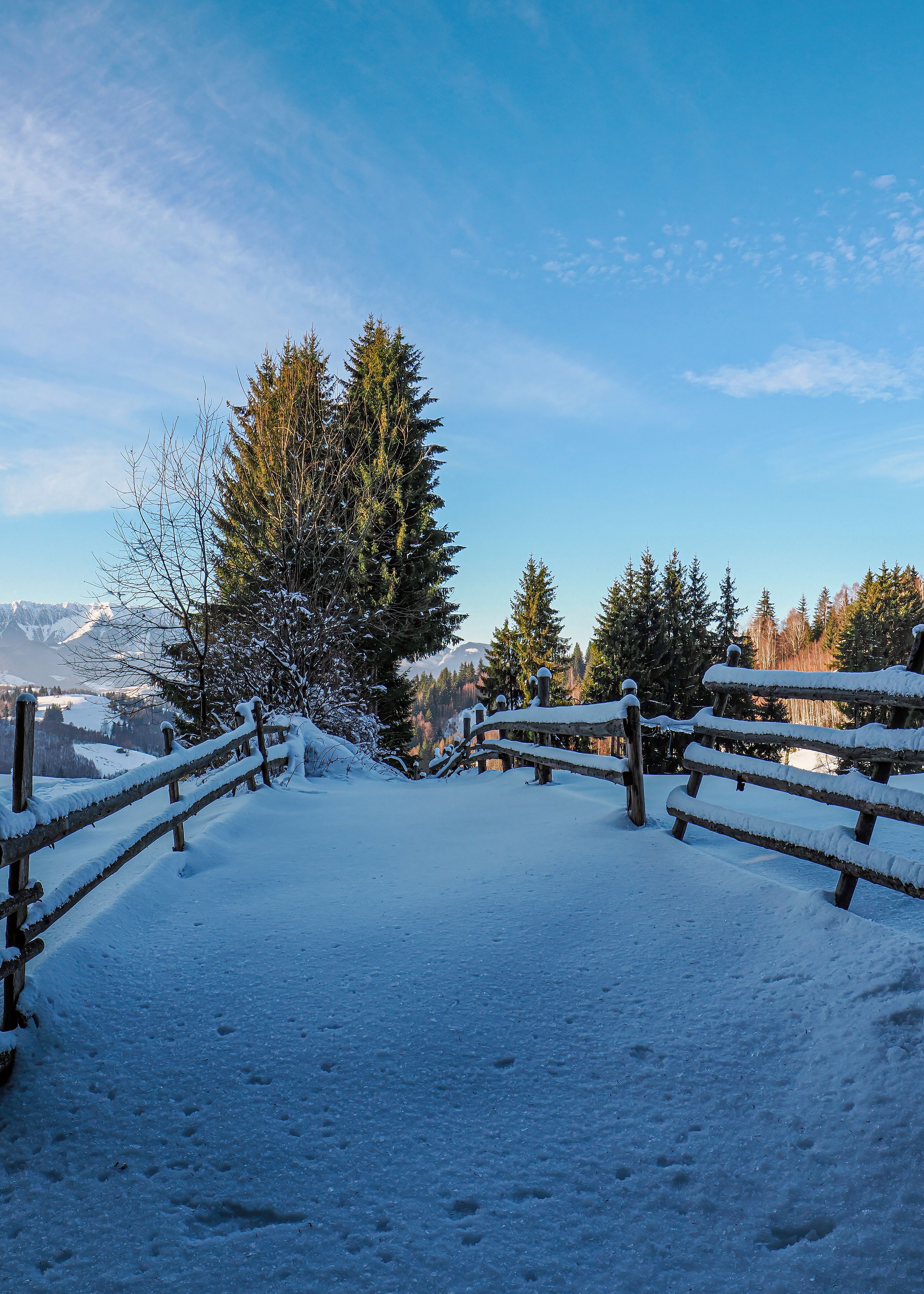 Winter Landscape in Carpathian Mountains, Brașov · Free Stock Photo