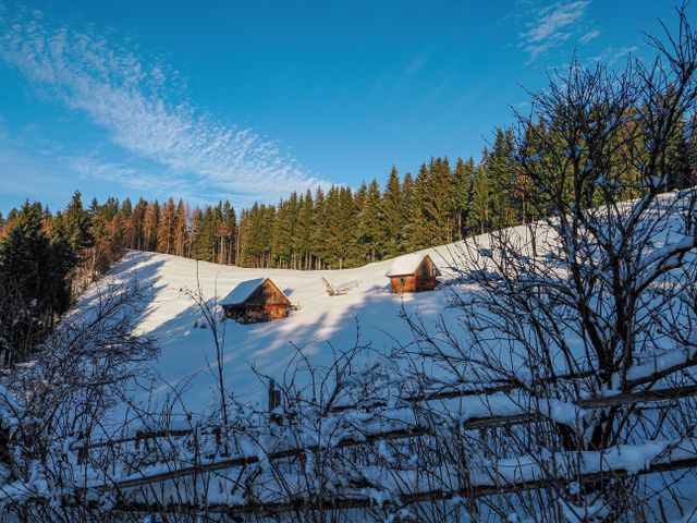 Cazare în Semenic