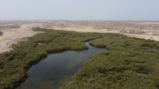 Vue aérienne mangroves EAU