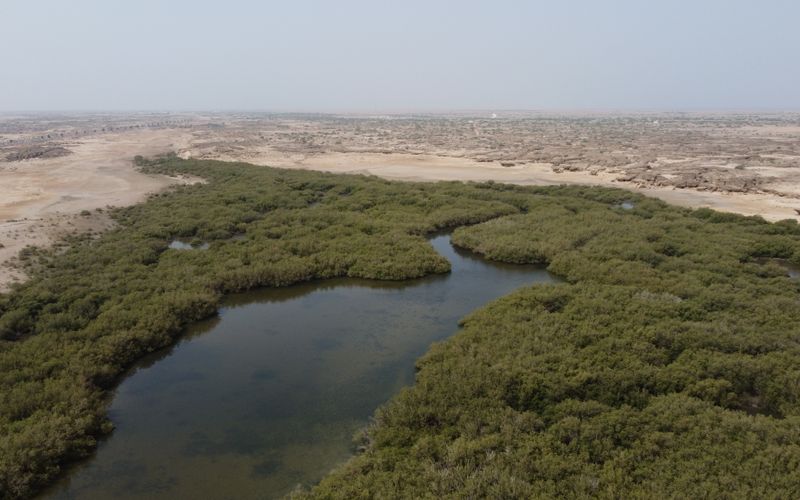 Kayaking in Saudi Arabia: Best Spots (2026)