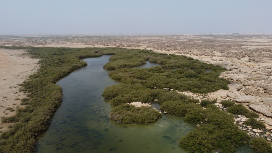 Jazan, Saudi Arabia - travel photo