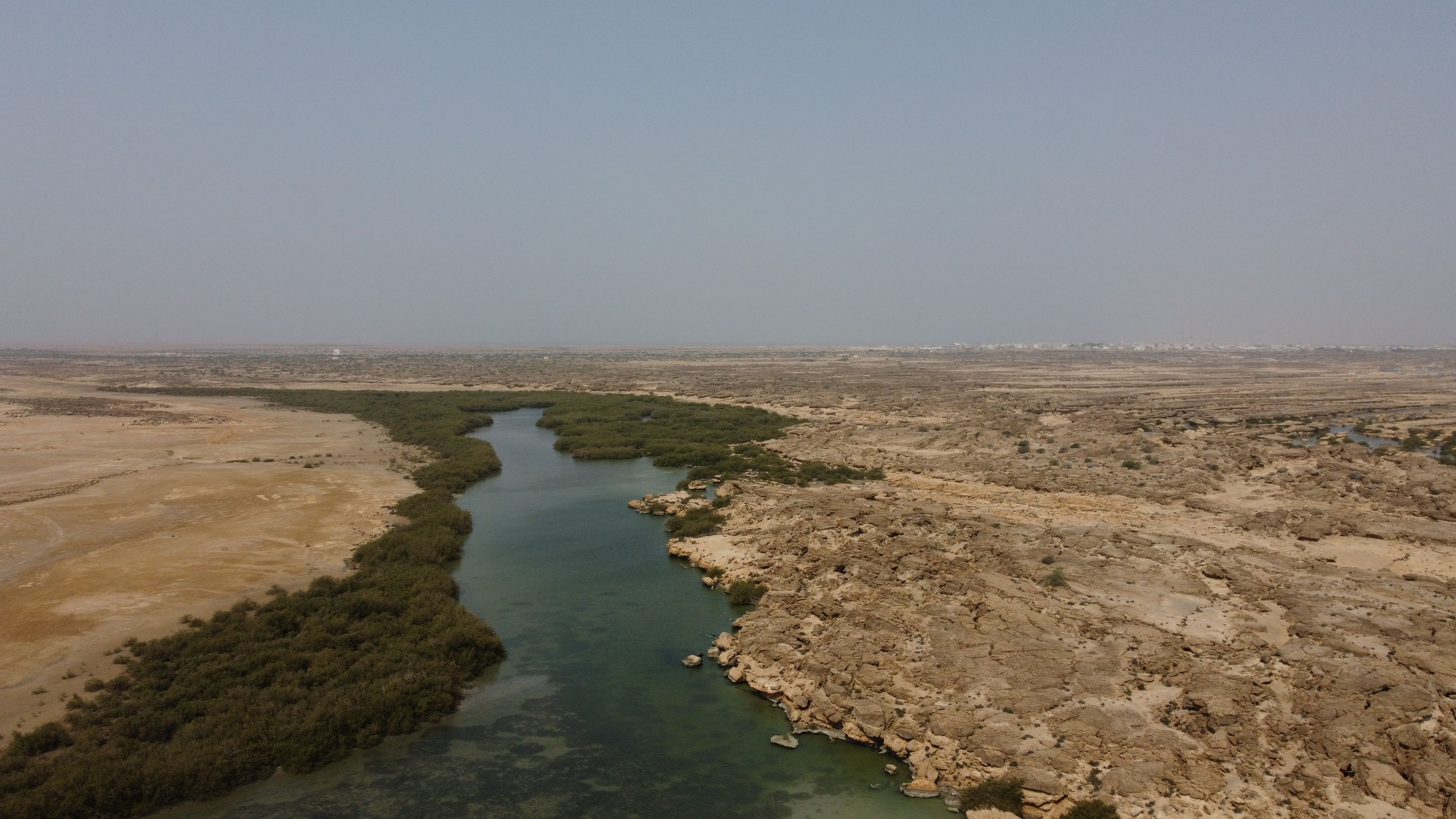 Aerial depiction of Al Wajh Lagoon where arid desert landscapes meet clear water channels.