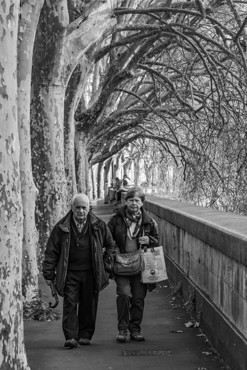 Free Black and white photo of an elderly couple walking under tree arches in Rome, Italy. Stock Photo