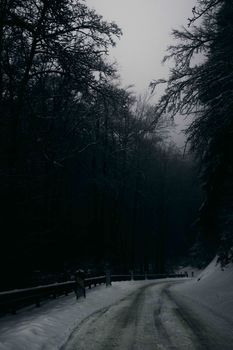 Captivating scene of a snowy road winding through a serene winter forest landscape.