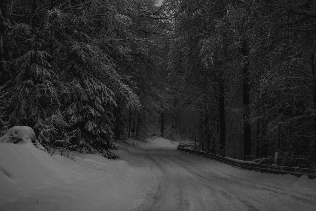 tranquil snowy path winding through a serene winter forest enveloped i