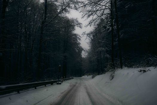 Snow-covered forest path creates a peaceful winter wonderland scene.