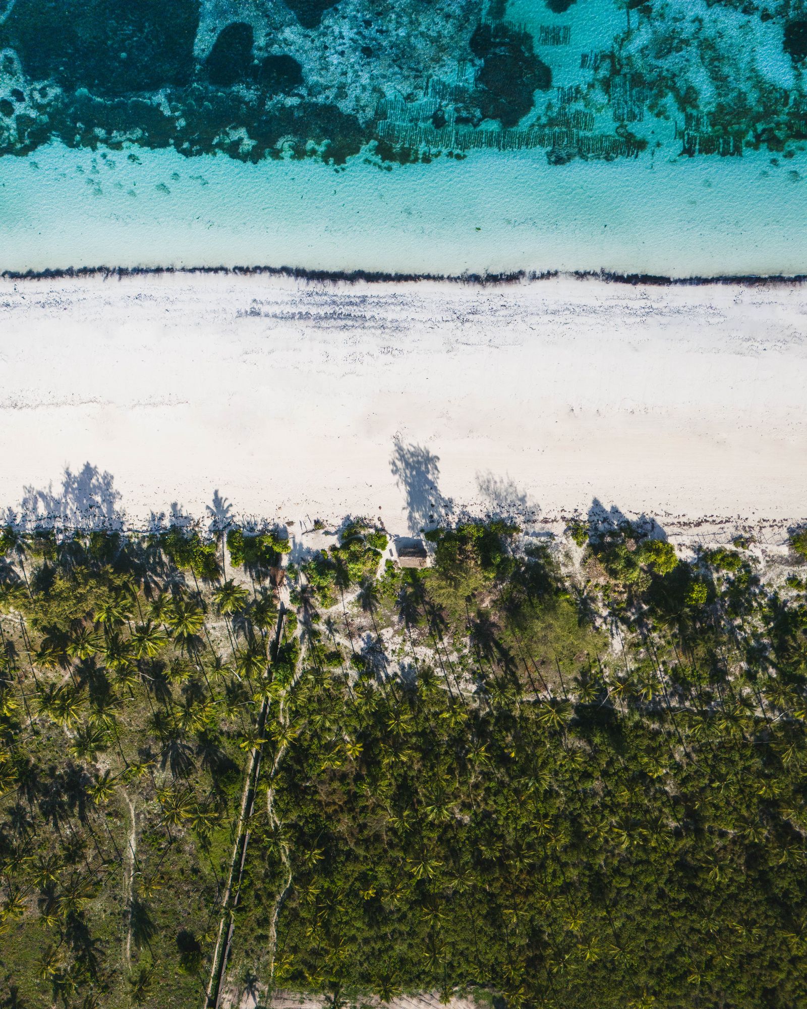 Zanzibár, Tanzania