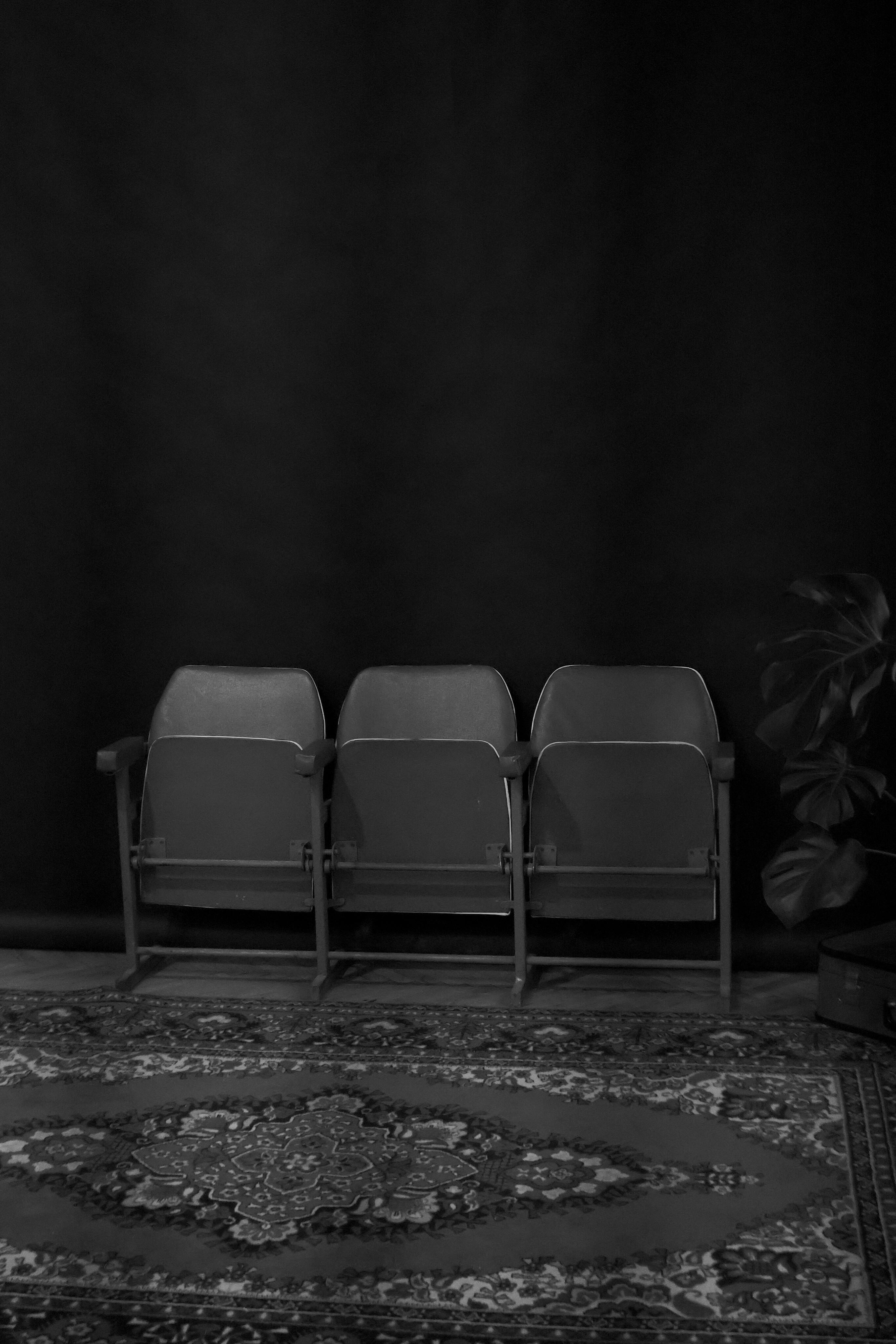 Gratuit Imagine alb-negru a scaunelor de teatru de epocă pe un covor persan clasic. Dramatic și capricios. Fotografie de stoc