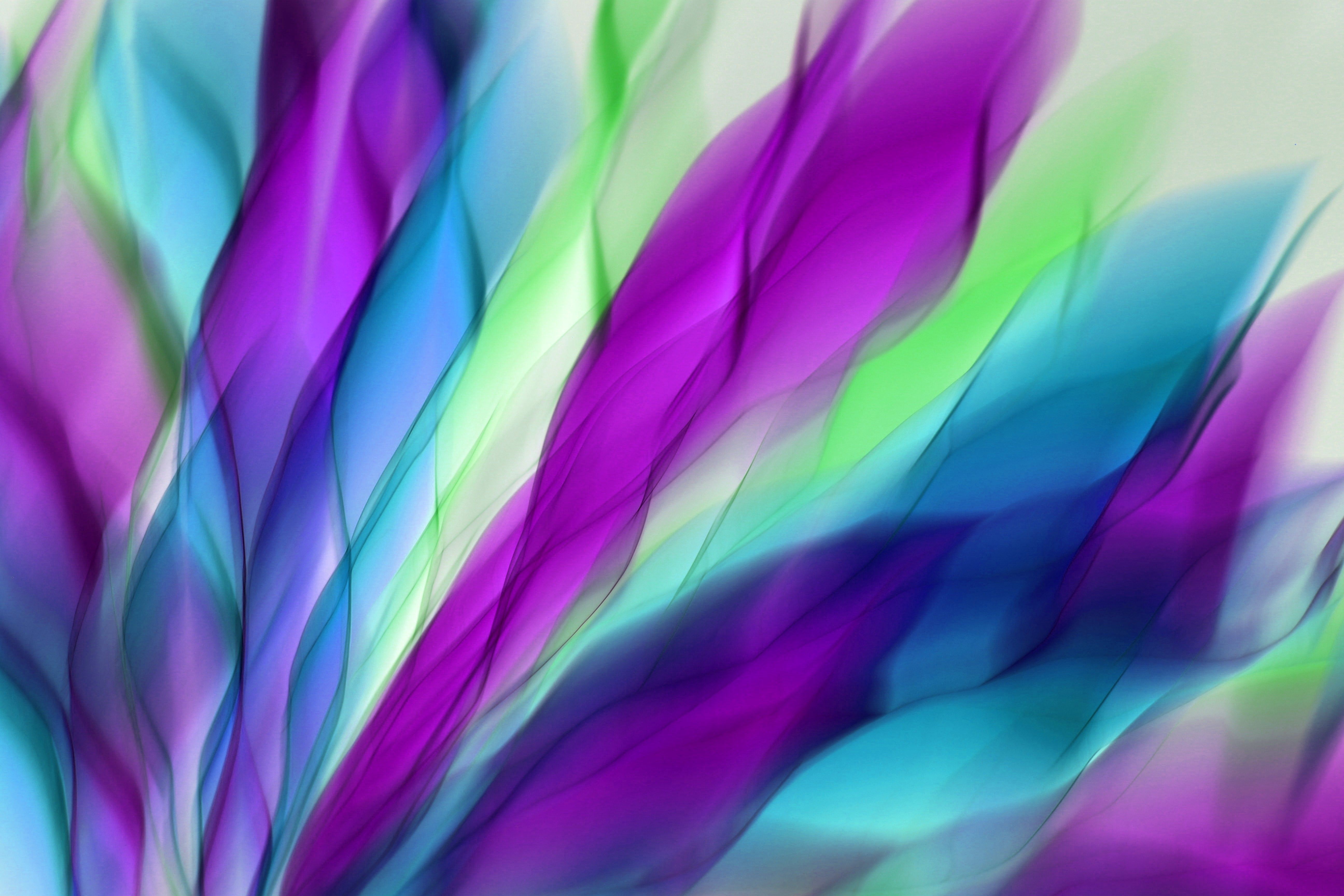 Vibrant Abstract Waves of Colorful Light · Free Stock Photo