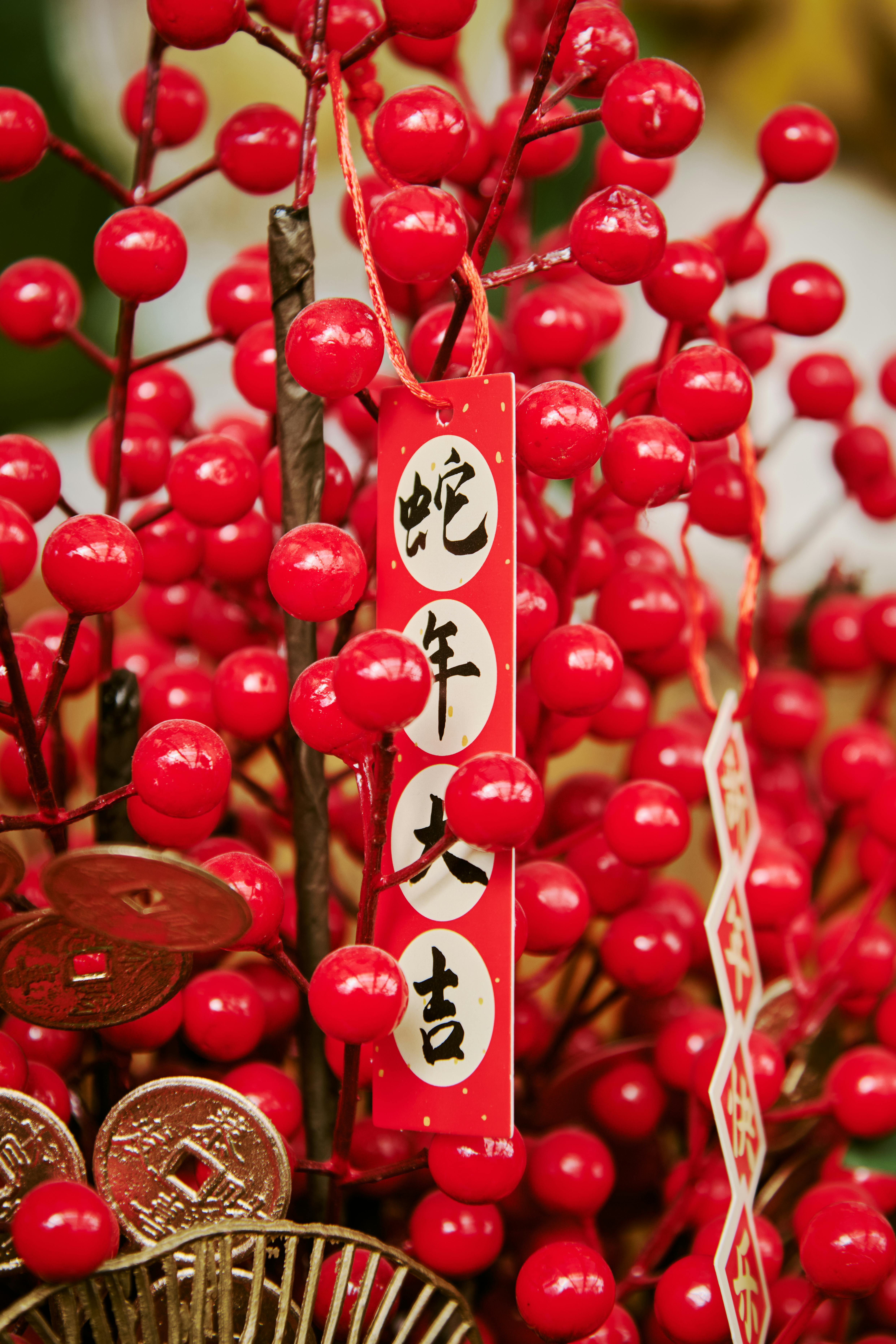 Festive red berries with traditional Chinese decorations for New Year celebration.