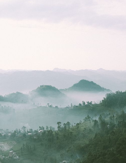 A breathtaking view of lush green mountains engulfed in mist under a soft morning light.