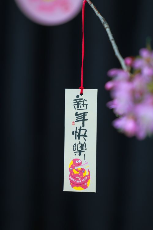 Free Traditional Chinese New Year hanging decoration with festive design and Chinese characters. Stock Photo