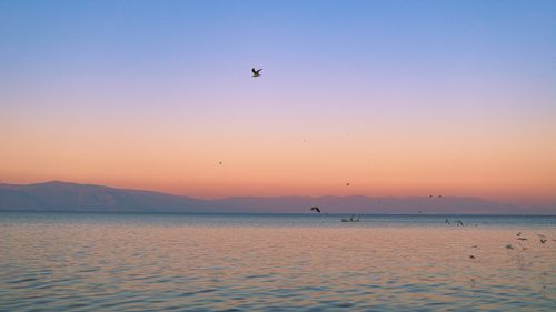 Free Calming sunset over the sea with birds flying and a distant boat, perfect for tranquil themes. Stock Photo