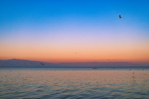 Free Peaceful sunset over the sea with birds and distant boat, capturing nature's tranquility. Stock Photo