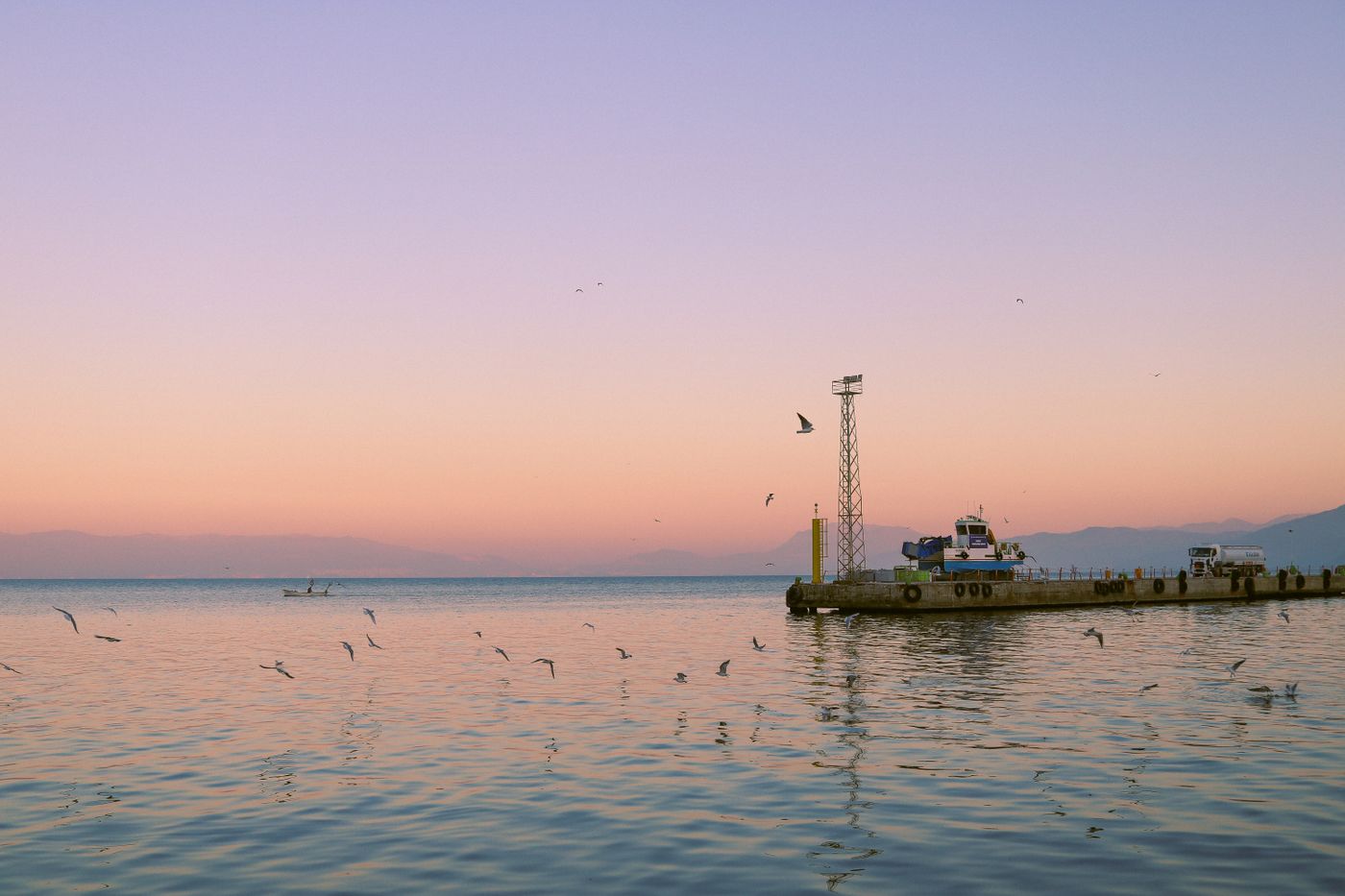 Boats moored in a Florida harbor at golden hour