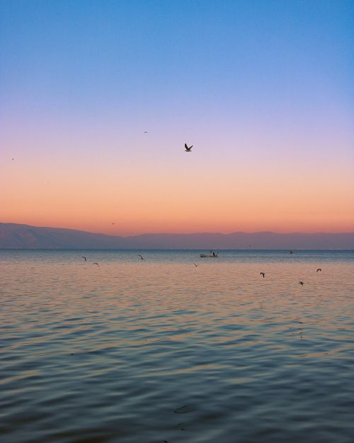 Free Tranquil ocean scene at sunset with birds flying and boats in the distance. Stock Photo