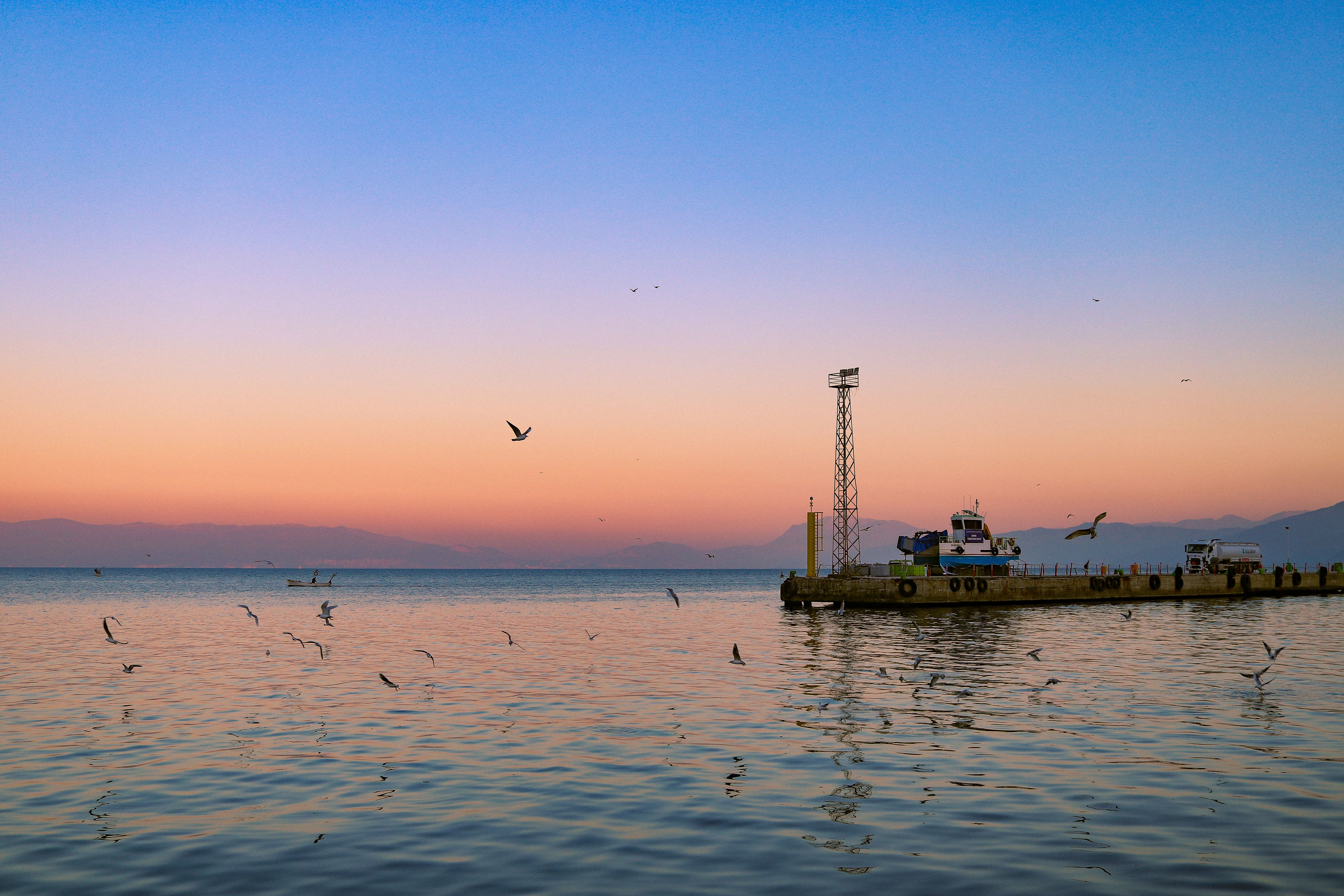 Serene Sunset Over Tranquil Pier with Birds · Free Stock Photo