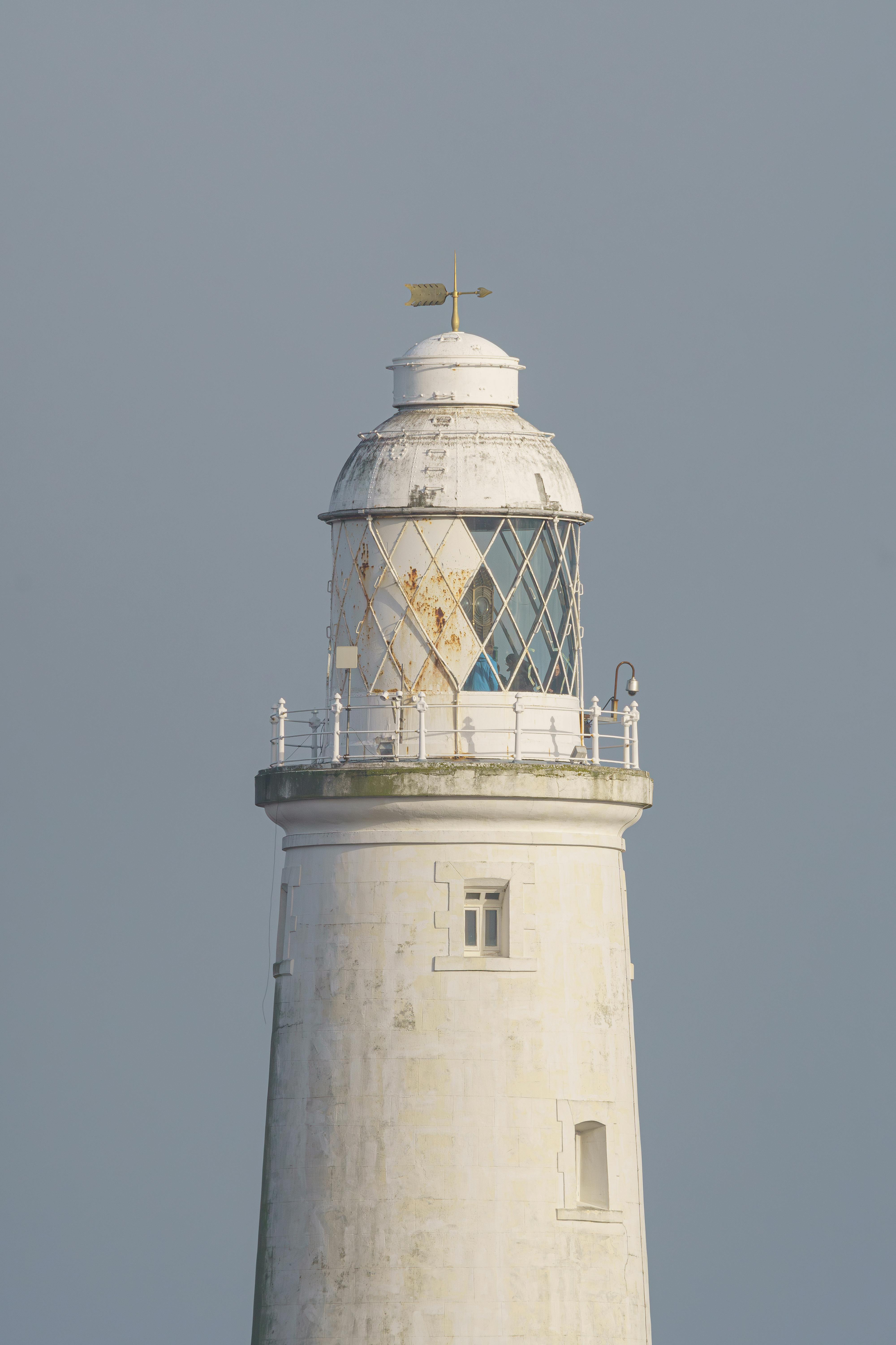 Свойства различных компонентов