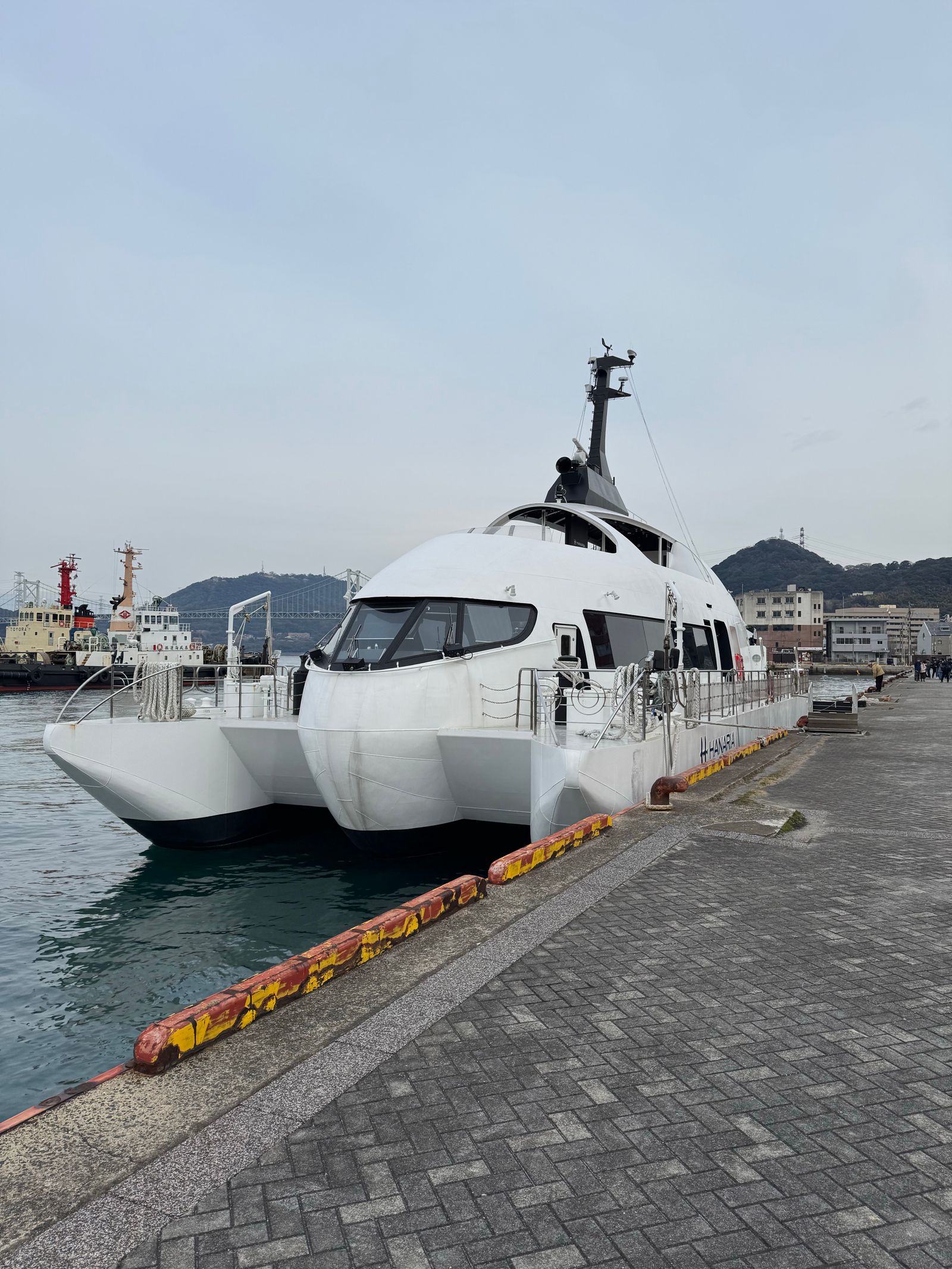 private vs shared boat charter Marbella — Charter boats moored ready for either private or shared bookings