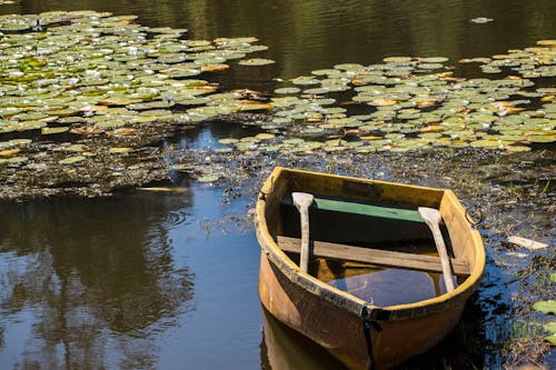 Free stock photo of lake with boat Stock Photo