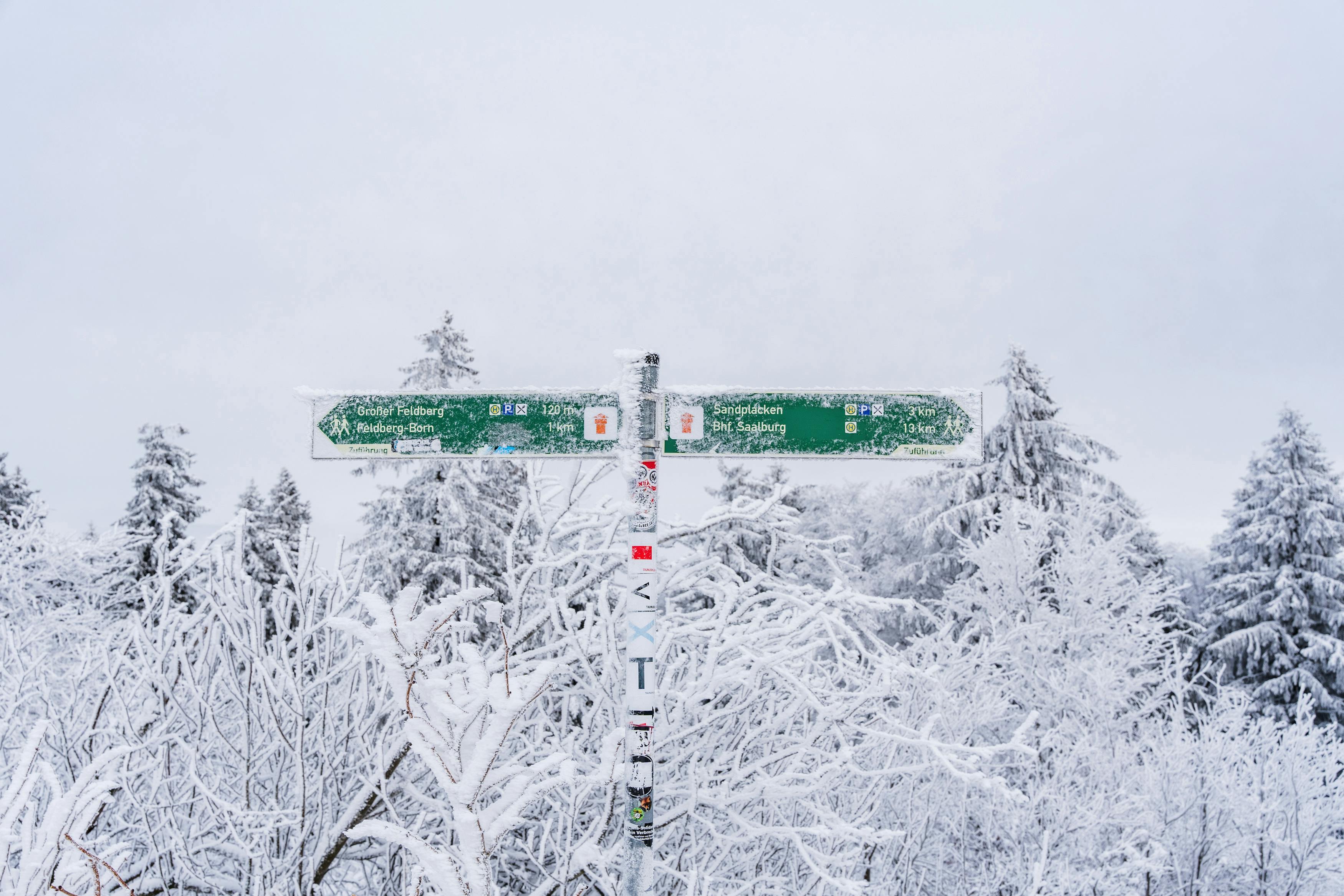 A frosty signpost amidst snow-covered trees in a serene winter forest.