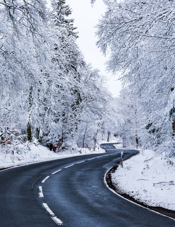 Snowy Forest Road in a Winter Wonderland · Free Stock Photo