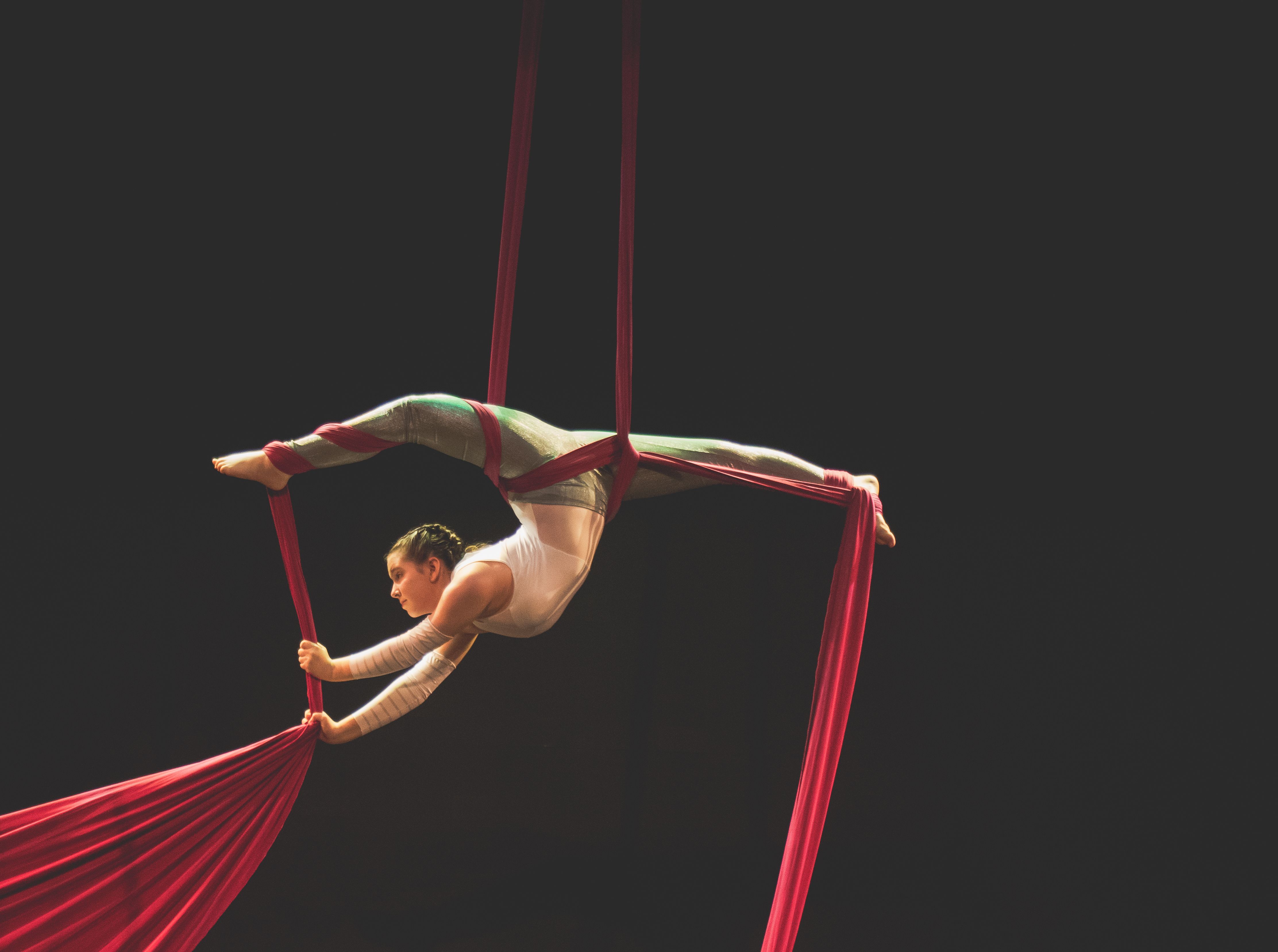Dance, Art, and Acrobatics Headline Balboa Park's February Events