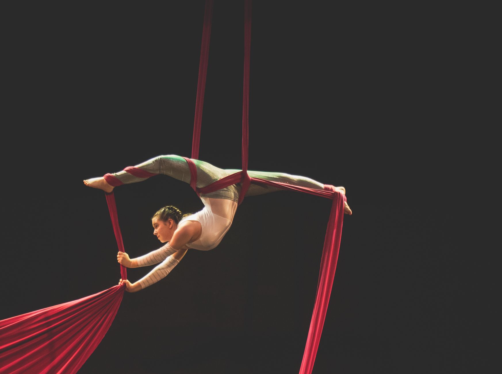 Dance, Art, and Acrobatics Headline Balboa Park's February Events