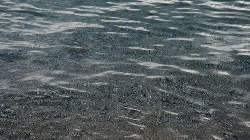 Free Tranquil rippling water with visible pebbles beneath creates a calming seascape. Stock Photo