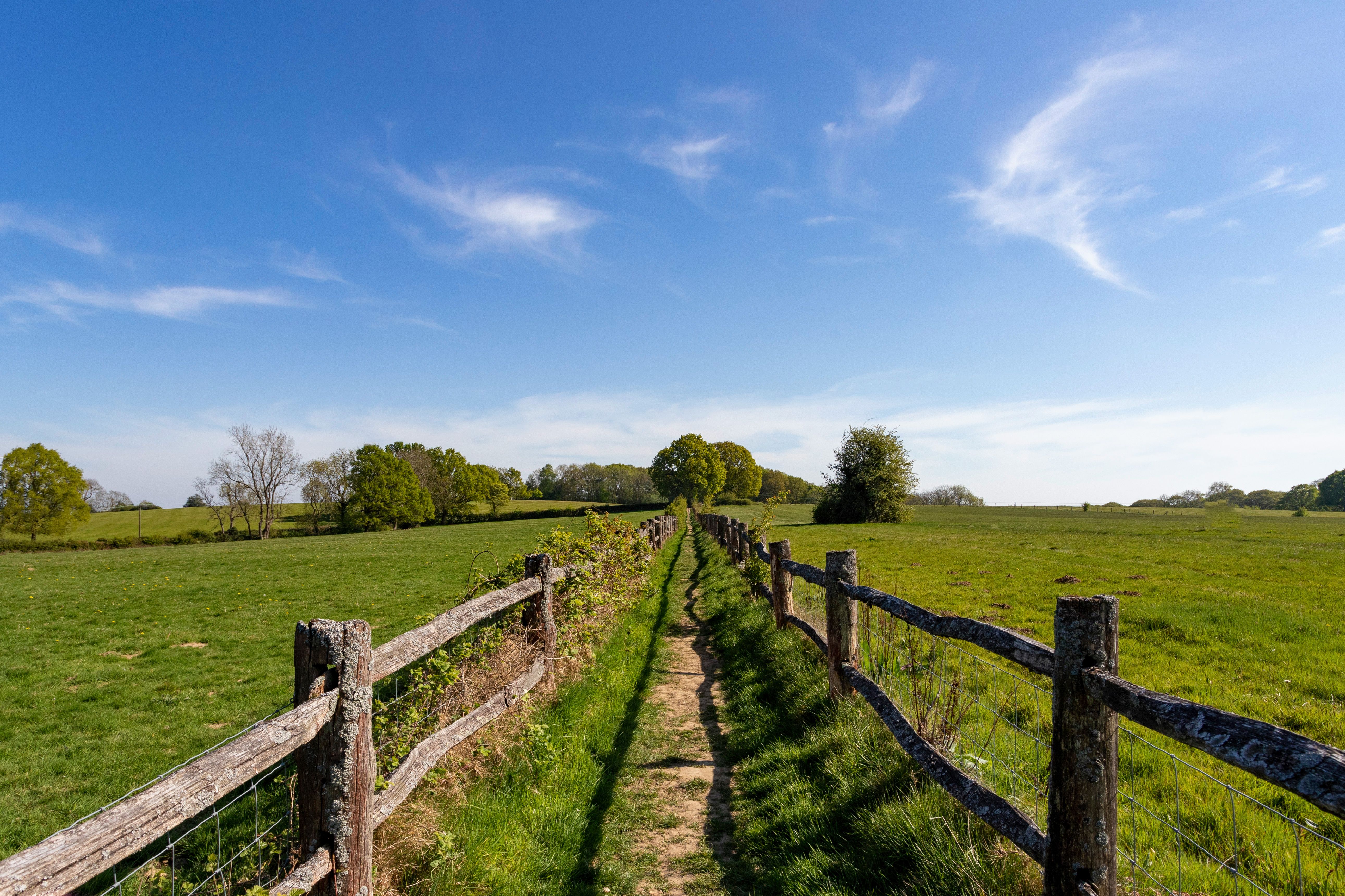 Ohio rural healthcare access — an advanced solution? — Photo by Bob Jenkin on Pexels