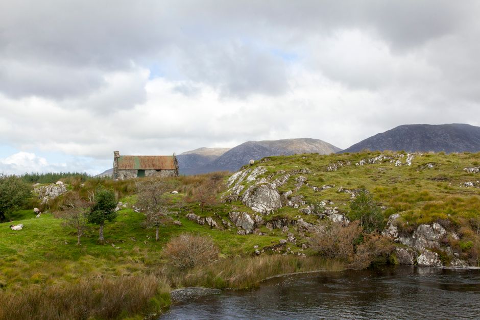 Serene Irish landscape featuring a stone cottage amidst lush green hills and grazing sheep.