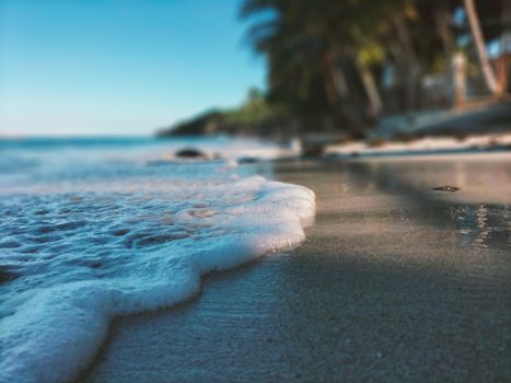 Peaceful tropical beach with gentle waves and palm trees in the distance, captured in soft focus.