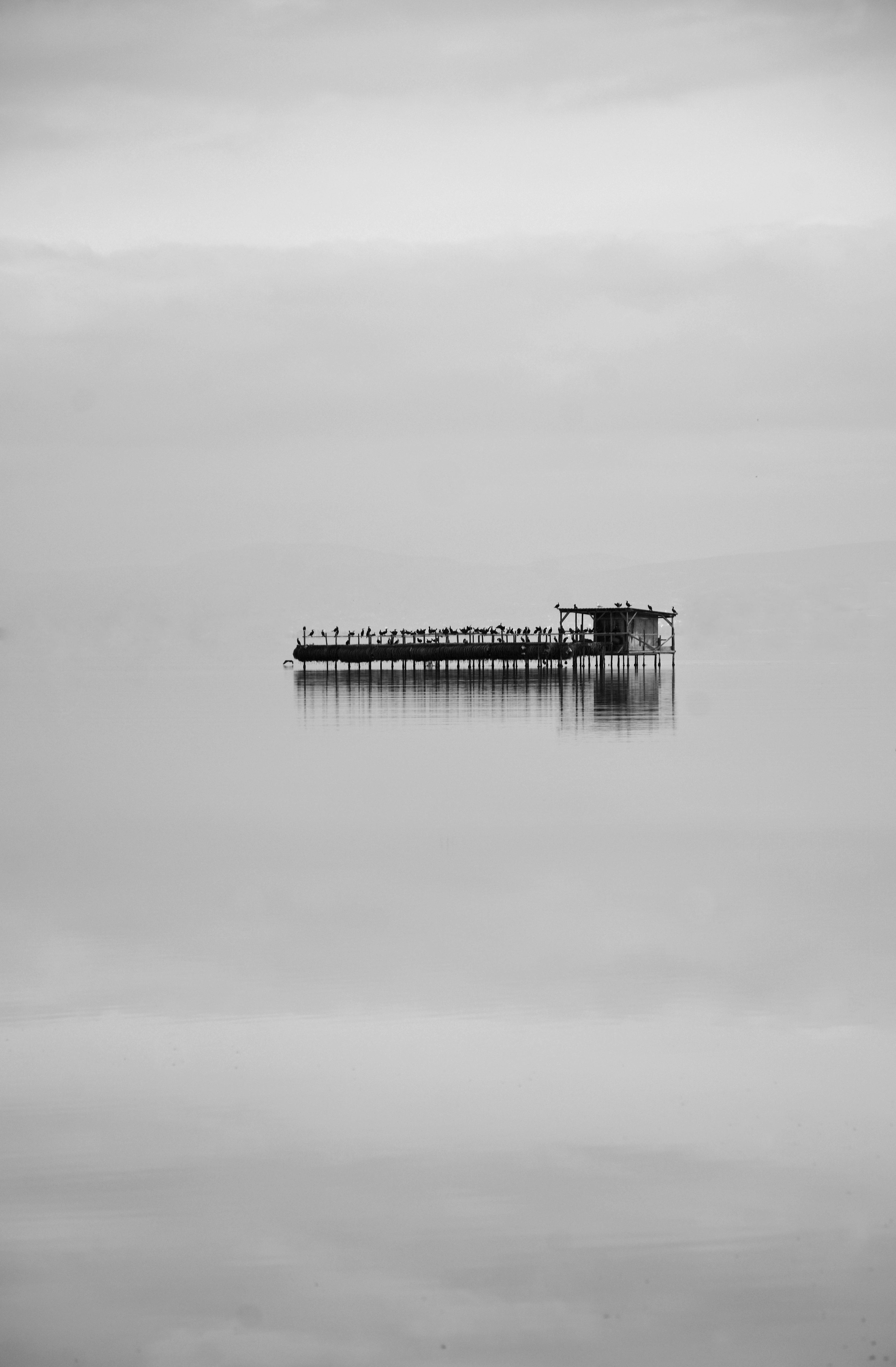 Calm black and white image of a fishing platform reflected on still water.