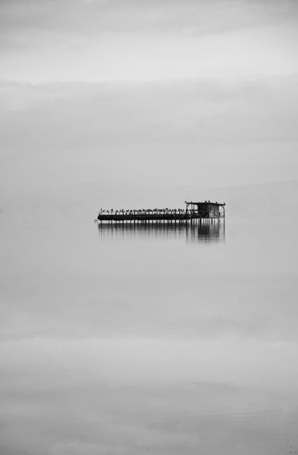 Calm black and white image of a fishing platform reflected on still water.