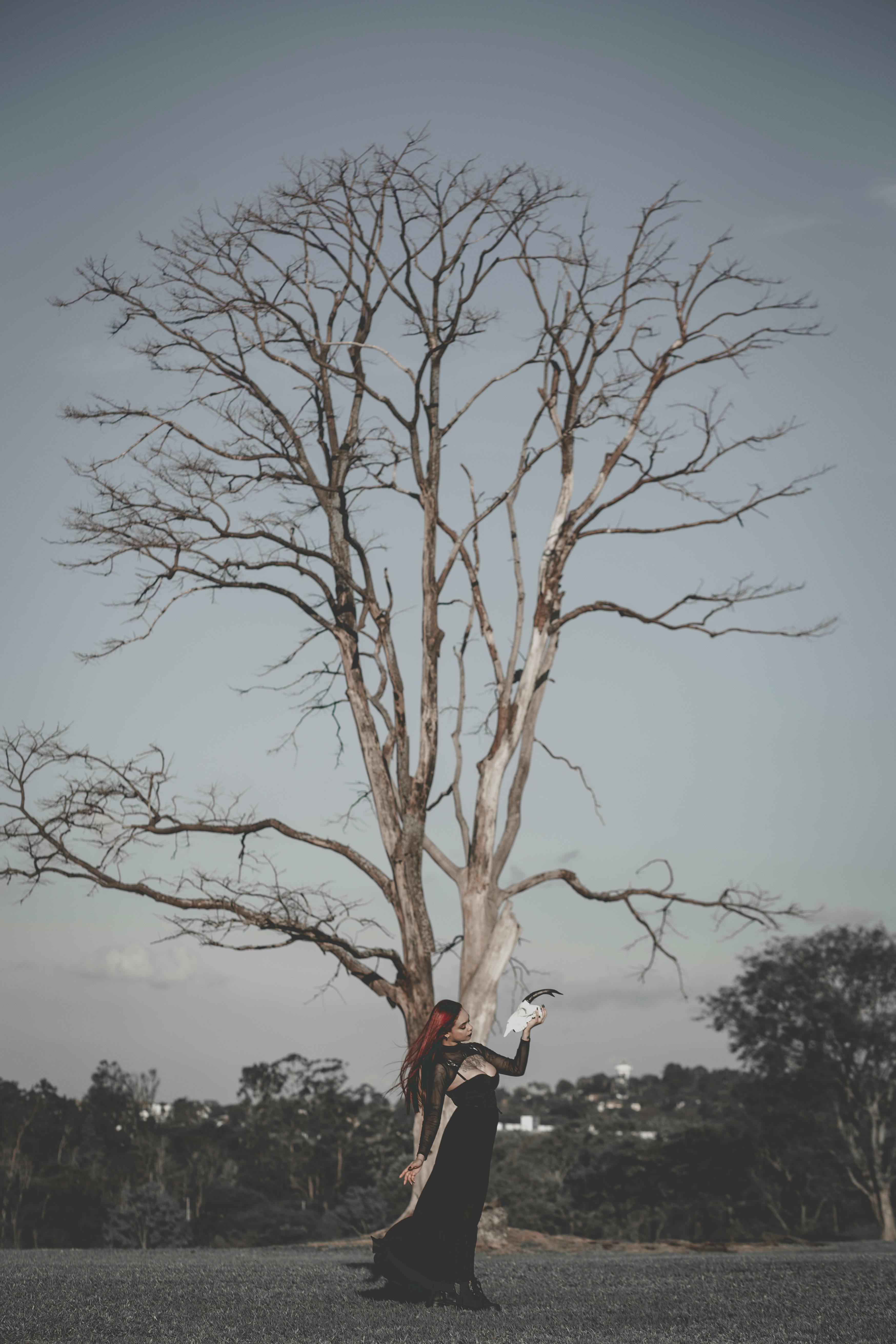 Woman in black dress walks under a bare tree, creating a mystical atmosphere.