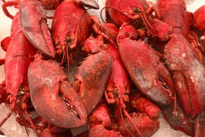 Lobsters