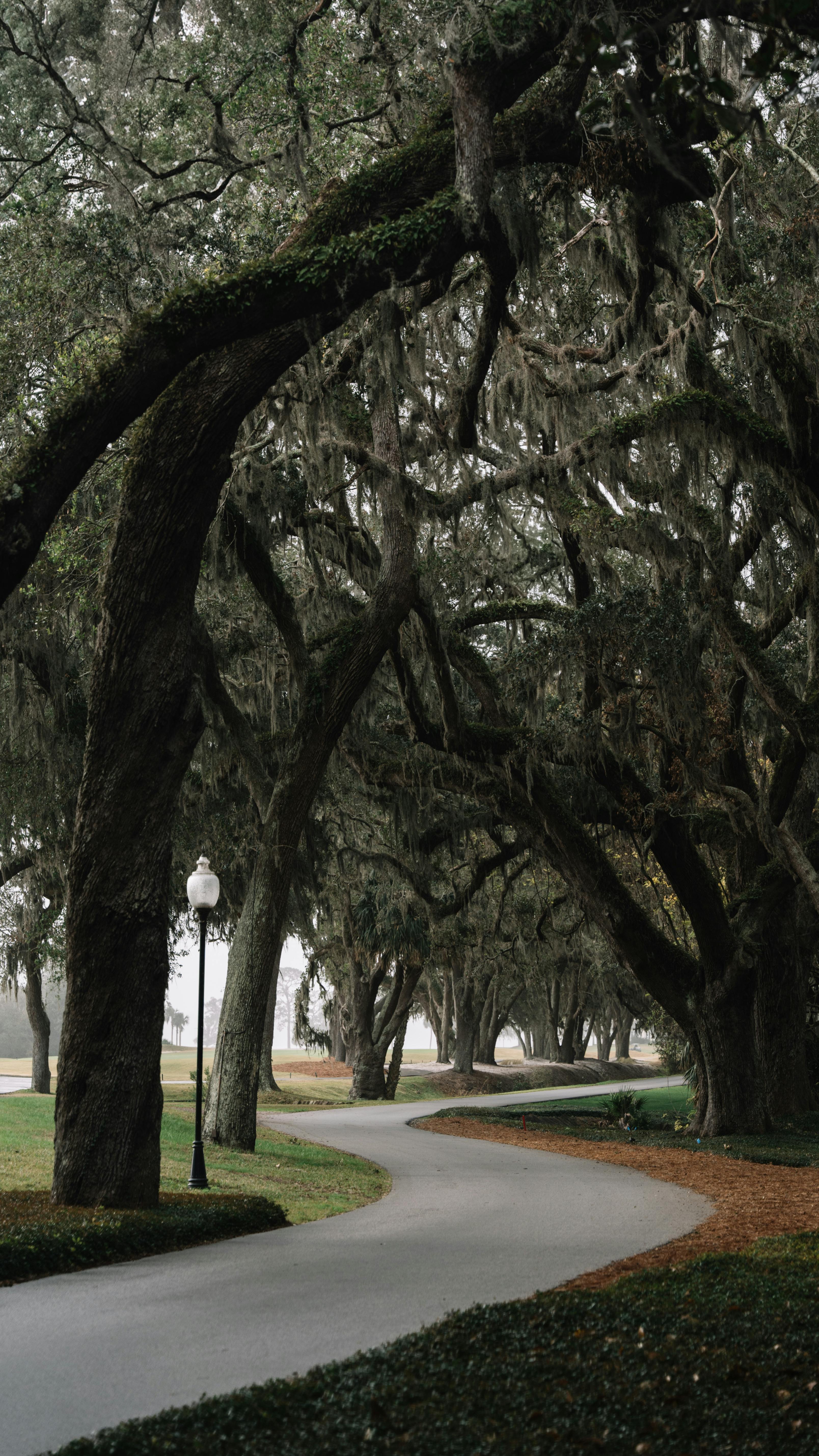 Itinerary St. Simons Island