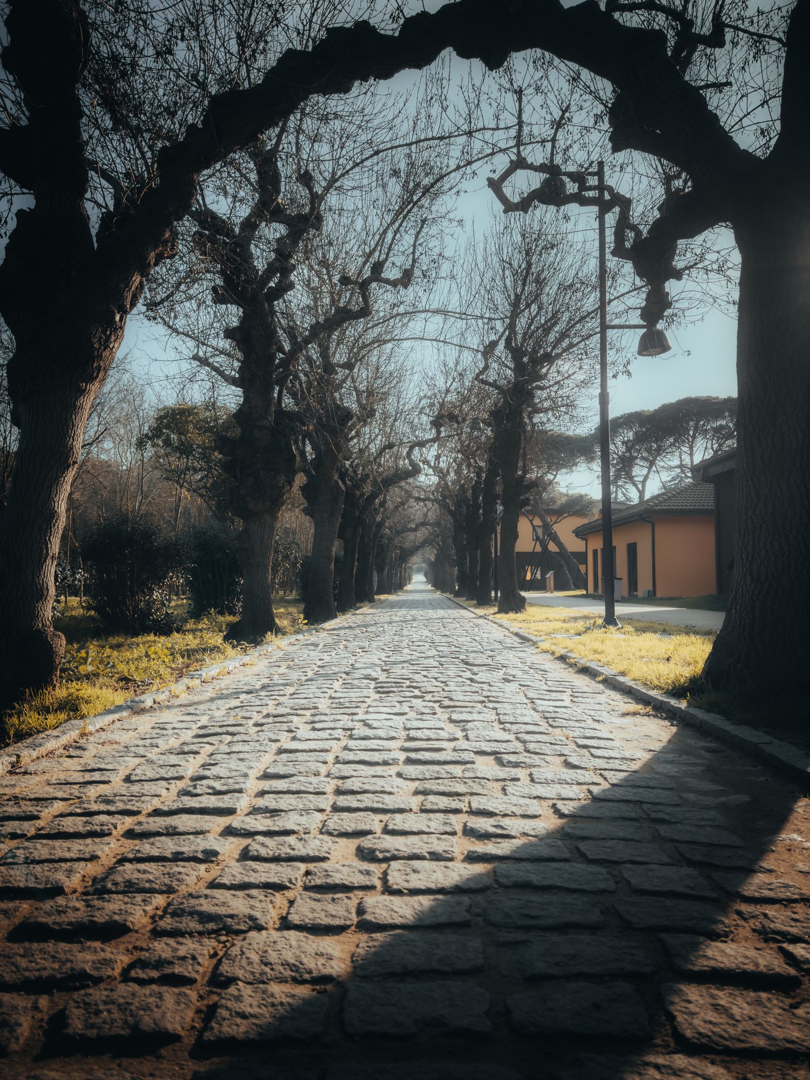 A shaded stone lane along the Appian Way near Rome's catacombs