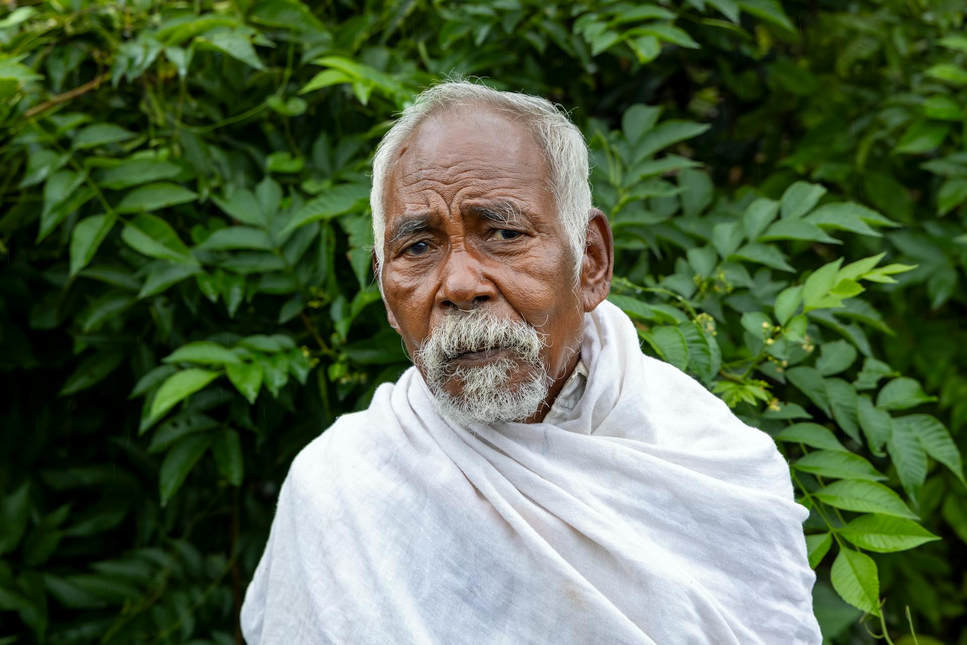 Free stock photo of farmer, hd, india