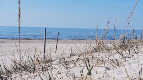 Free stock photo of beach, blue sea, landscape photography
