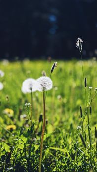 Image by Kadri Võsumäe