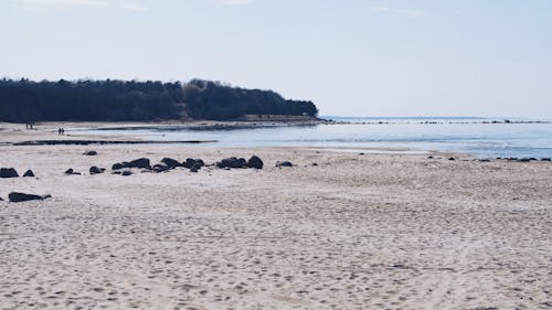 Free stock photo of beach, nature, sand
