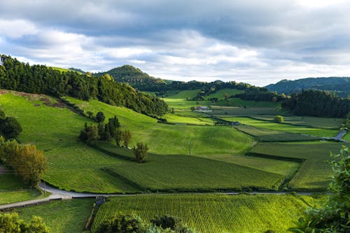 Landschapsfotografie Van Groen Grasveld