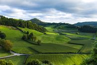 Landscape Photography of Green Grass Field