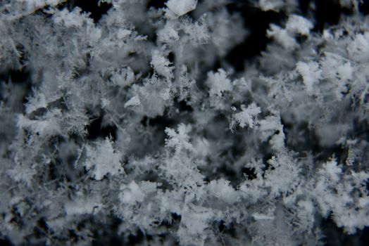 Macro photography showcasing detailed snowflake structures against a dark background.