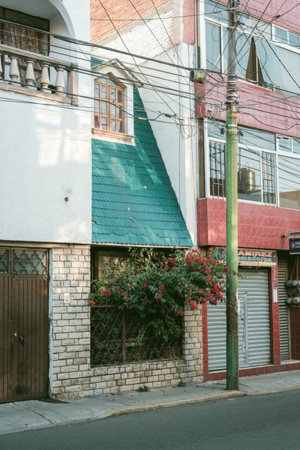 A vibrant urban building facade with green and red accents, featuring lush flowers.